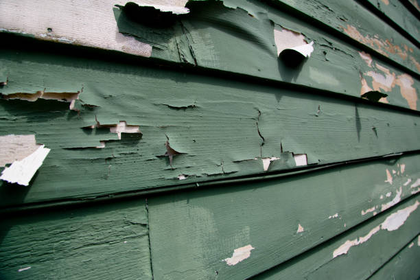 Pinewood, FL Junk Removal Company