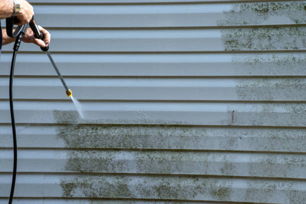 Best Yard Waste Removal  in Pinewood, FL