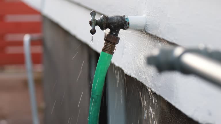 Best Property Management Cleanouts  in Pinewood, FL